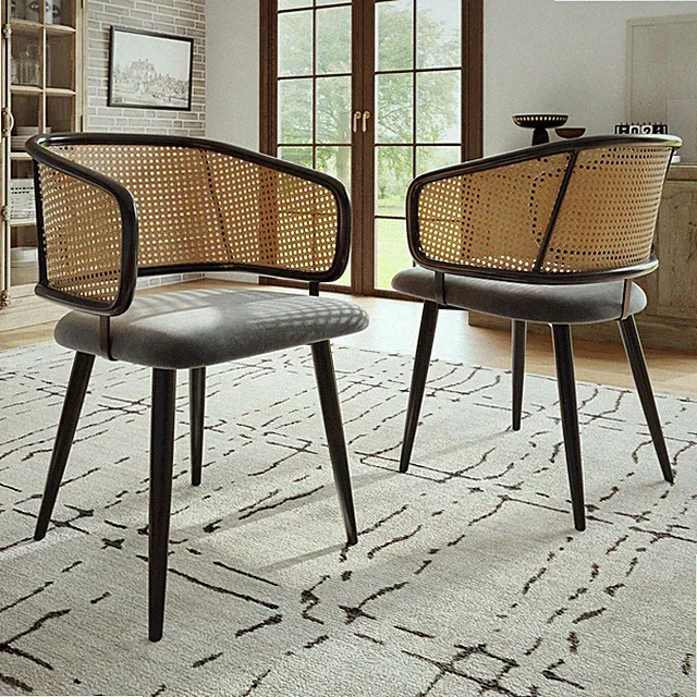 2 Esszimmerstühle,Esszimmerstühle mit Rattan-Rückenlehne,moderner einfacher Stil