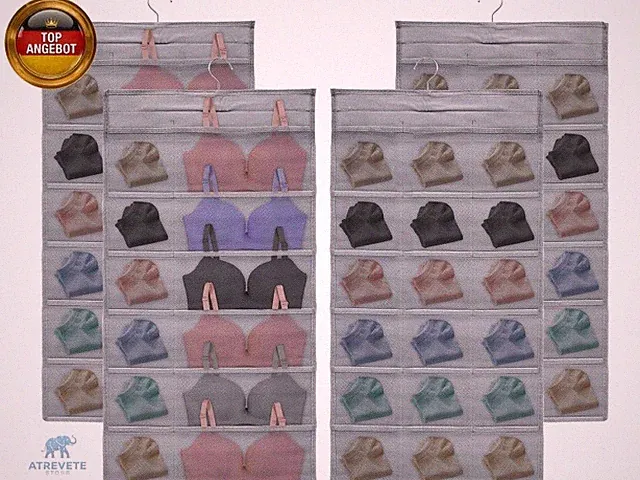 AMJKEJI 2PCS Kleiderschrank Organizer Hängend für Unterwäsche Socken BHS, 30 Ta