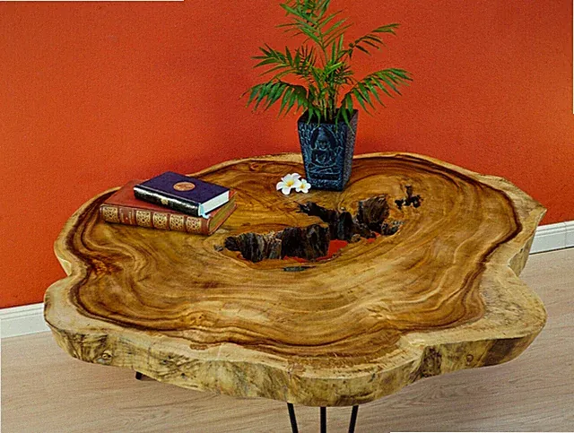 Baumscheibe Couchtisch Suar Massivholz Hairpin Beine rund Wohnzimmer Unikat neu