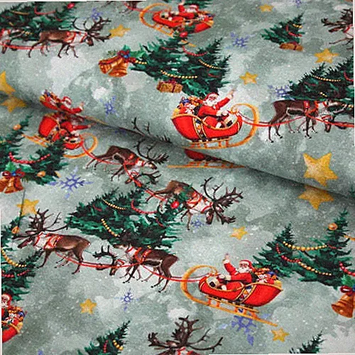Baumwolljersey "Weihnachtsmann im Schlitten mint/rauchgrün" - ab 25 cm Länge