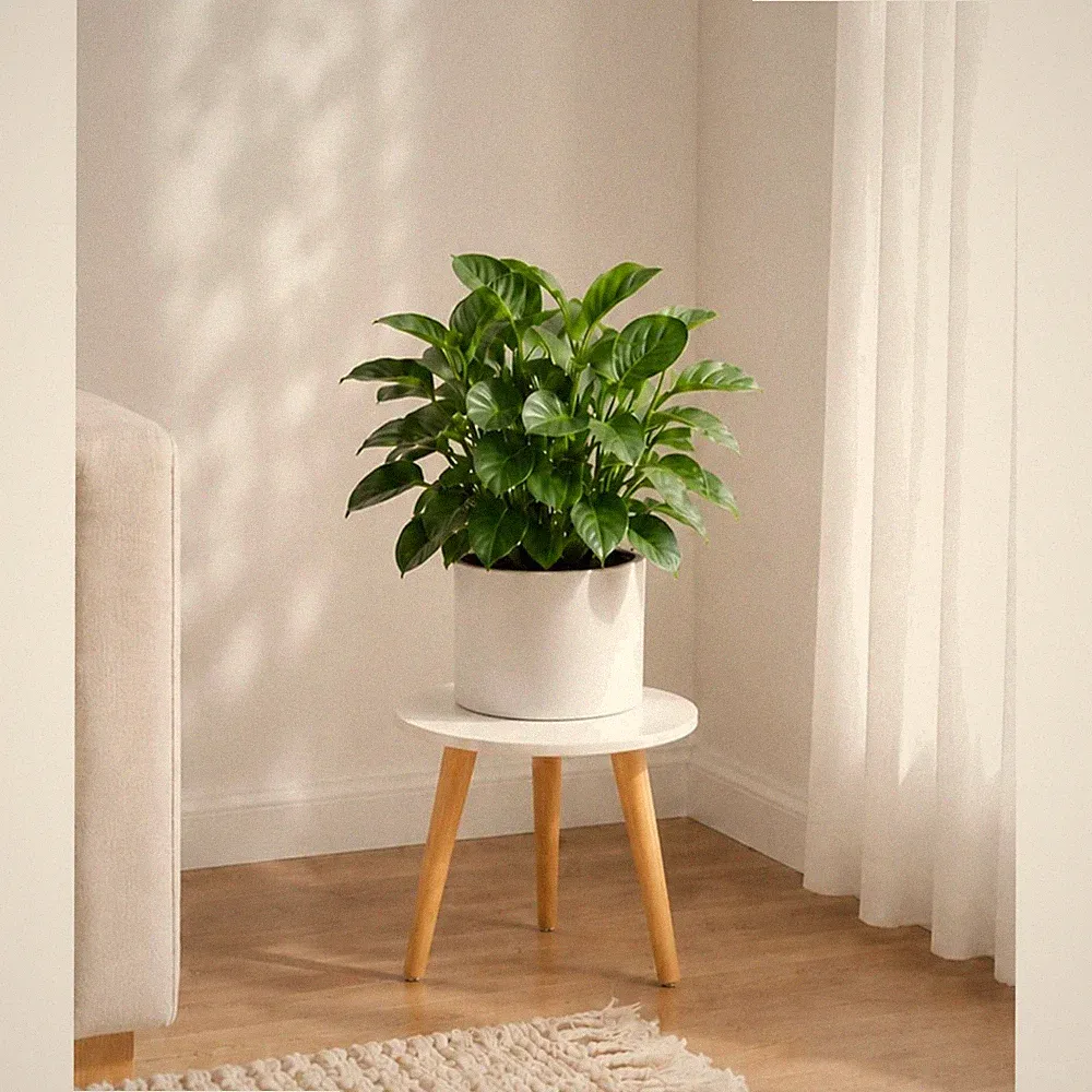 Blumenständer klein Bambwood Rund Beistelltisch Holz Balkon Wohnzimmer Deko