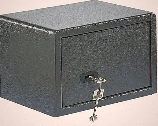 Burg Wächter Pure-Safe PS 120 K Möbeltresor, 20,50L, Schlüsselschloss, Stahl (49