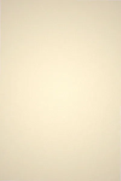 d-c-fix Selbstklebefolie Uni seidenmatt off-white 45 cm x 2 m Möbelfolie