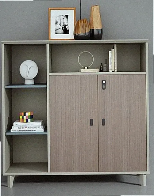 Design Schrank Aktenschrank Büroschrank Akten Dokumentenschrank Ordnerschrank