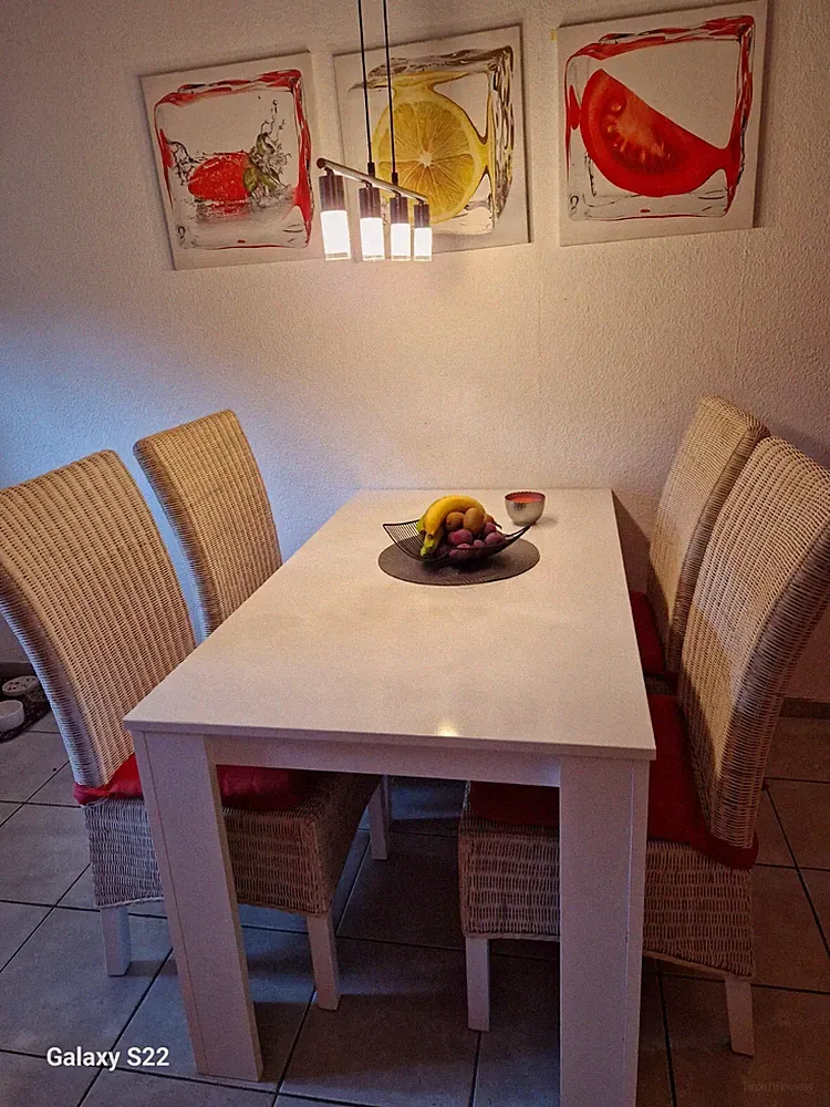 Esszimmer Set 8tlg Esstisch mit 4x Ratern Stühle Modern Design Möbel Komplett