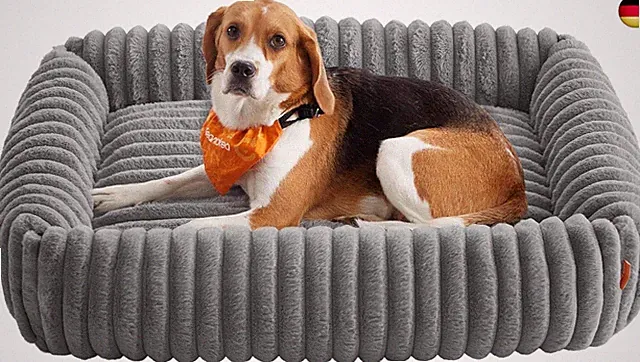 Feandrea Hundebett, großes orthopädisches Hundekörbchen, Hundekissen waschbar, F