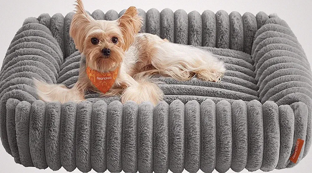 Feandrea Hundebett, mittelgroßes orthopädisches Hundekörbchen, Hundekissen wa