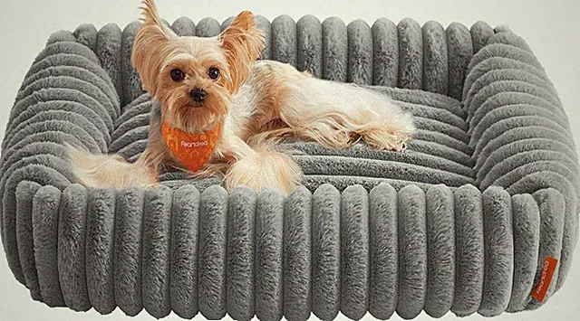 Feandrea Hundebett, mittelgroßes orthopädisches Hundekörbchen, Hundekissen wa