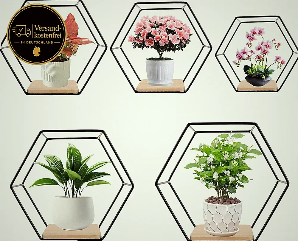 Hexagon Wandregal Set 5-teilig Schwarz Metall für Deko Wohnzimmer Schlafzimmer