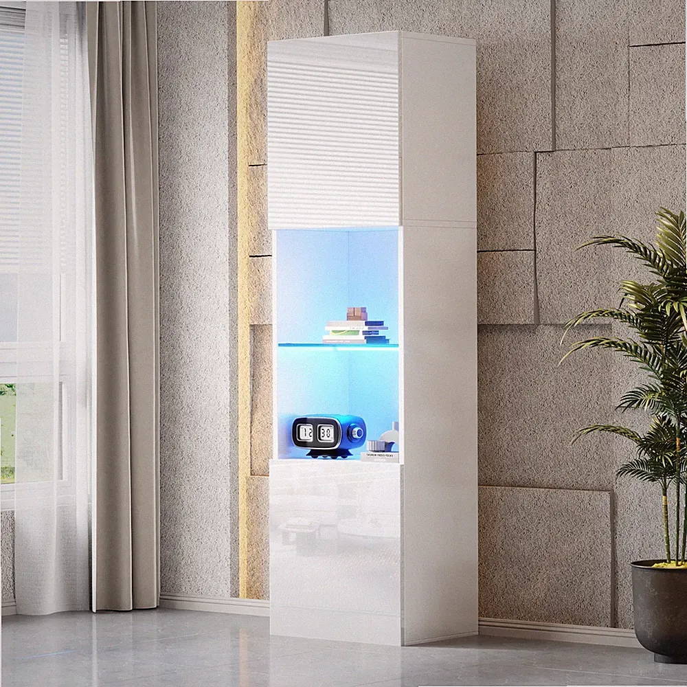 Modern Vitrine