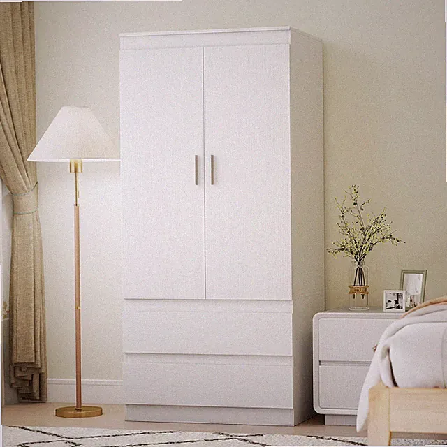 HOMCOM Kleiderschrank mit 2 Soft-Close-Türen Garderobenschrank mit 2 Schubladen