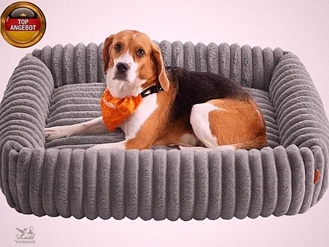 Hundebett, großes orthopädisches Hundekörbchen, Hundekissen waschbar, Fl