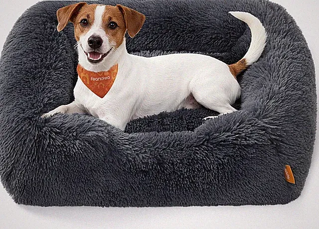Hundebett, mittelgroßes Hundekissen, 71 x 55 x 18 cm, Hundekorb, weiche
