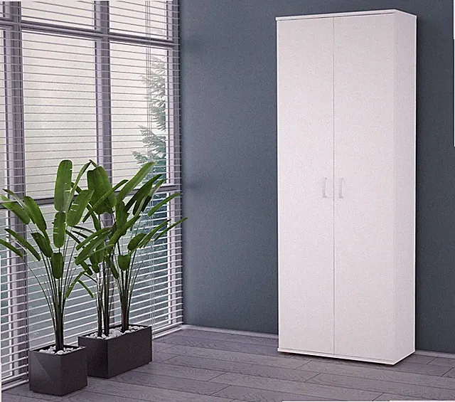 Kleiderschrank Tasin Schrank mit Einlegeboden Schlafzimmer zwei Türen Regal M24