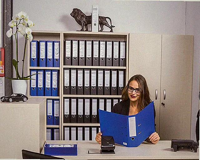Komplett-Set Büro Schreibtisch Aktenschrank Regal Arbeitszimmer Büroeinrichtung