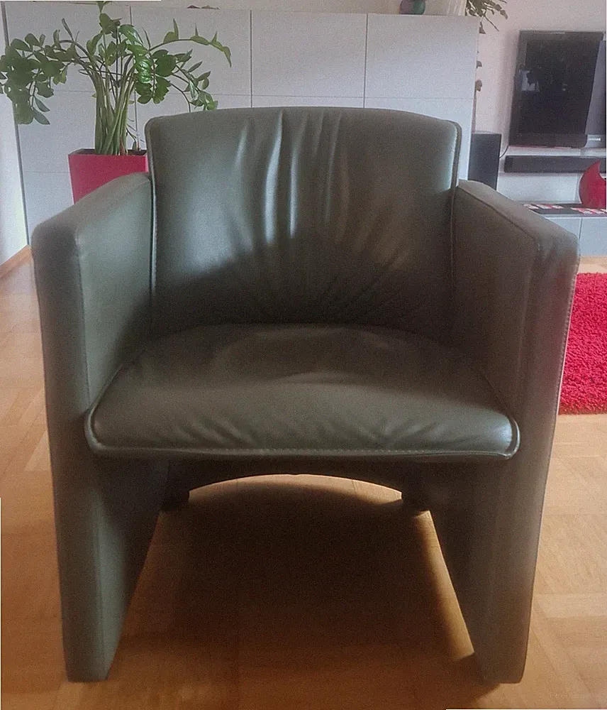 🪑 Ledersessel / Stuhlsessel in Echtleder - grün– Esszimmer geeignet – Höffner
