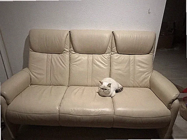 Ledersofa 3-Sitzer Weiß
