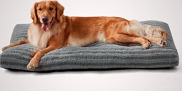 Pawk Hundebet Grosse Hunde, XL Hundekissen Waschbar Flauschig, Hundekorb Weich