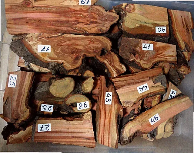 Pflaumen Wurzelholz Drechselholz Griffholz Messergriff Pen Blank Bastelholz