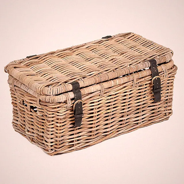 Rattan Truhe RESSY Grey ca. L60cm Couchtisch Wohnzimmertisch Handarbeit Kiste