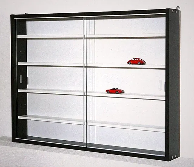 Regal Sammlervitrine Setzkasten Collecty schwarz mit weißer Rückwand