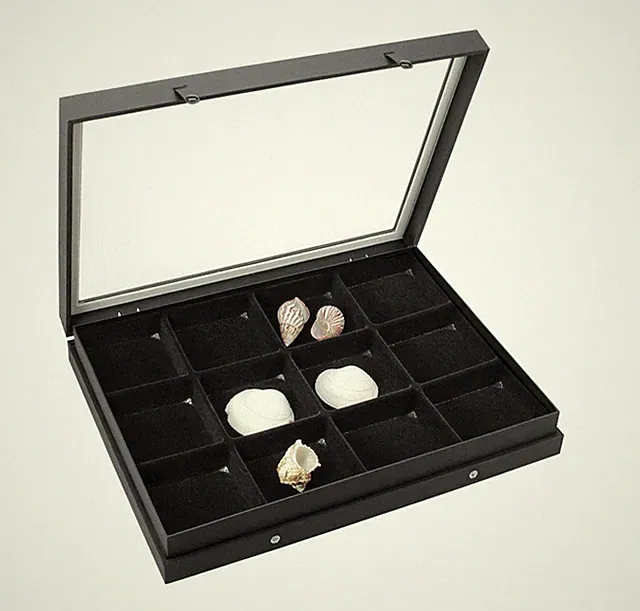 SAFE Sammel-Vitrine 12 Fächer für Schmuck, Mineralien, Fossilien mit Echtglas
