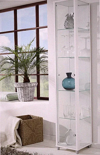 Sammlervitrine Standvitrine Glasvitrine Sammelvitrine Glas Vitrine Wohnzimmer