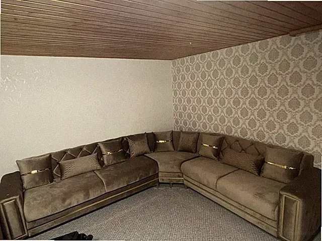 sofa mit Doppel schlaffunktion l form