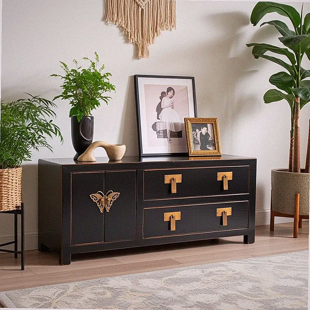 TV-Kommode Möbel Schrank chinesisch orientalisch Lowboard Vintage asiatisch shab