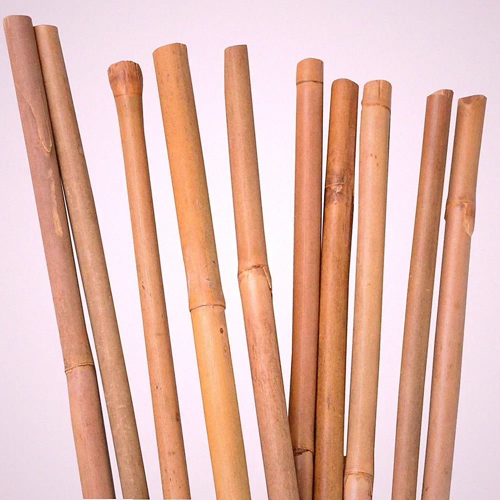 UNUS® Bambusstäbe 25 Stück , Rankstäbe, Pflanzenstäbe Bambus 150cm naturfarbend