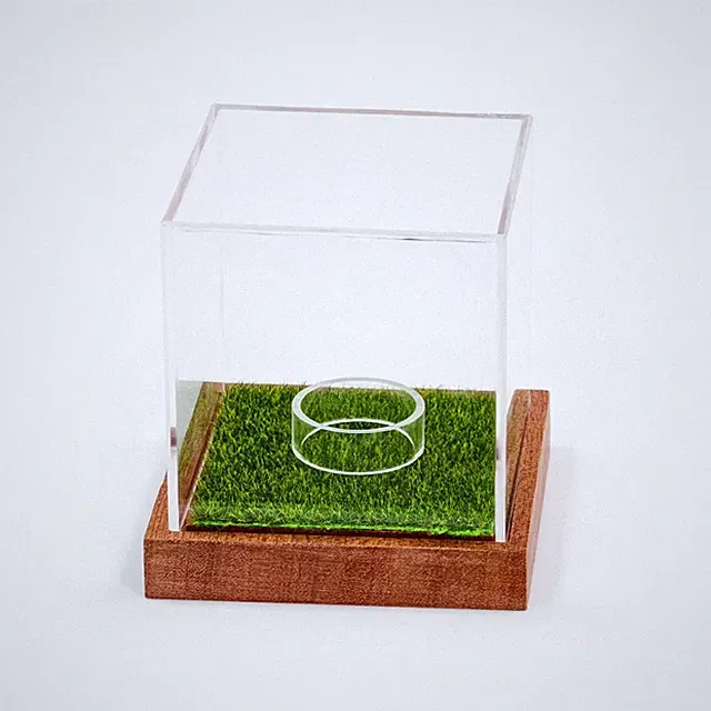 Vitrine mit Kunstrasen Staubschutz Vitrine mit Holzsockel