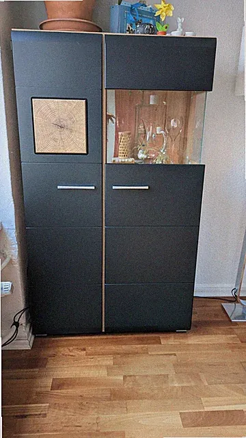 Vitrinenschrank Fun Plus II Wotan Eiche (Neu+ OVP)