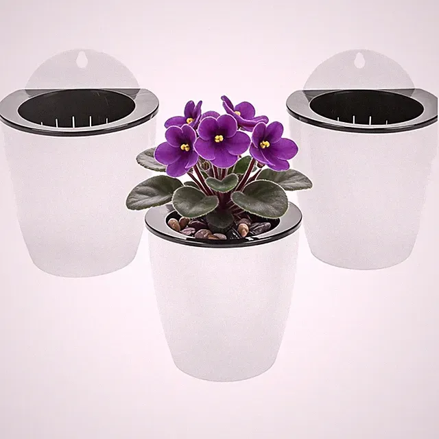 Wandhängende Selbstwässernde Blumentöpfe Set | Kräutergarten Küche Balkon