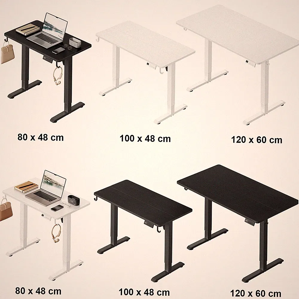WOLTU 72-118 cm Höhenverstellbarer Schreibtisch Elektrisch mit Memory Funktion